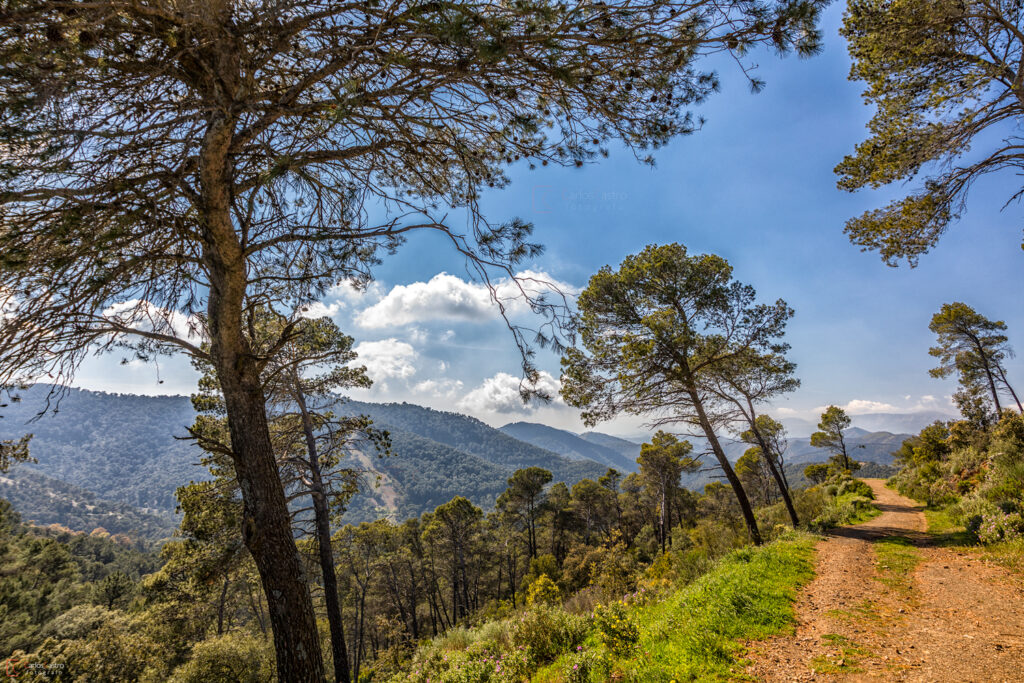 cycle malaga