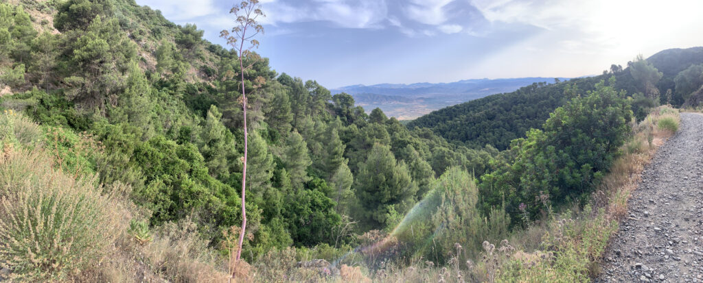 Enduro Jarapalos